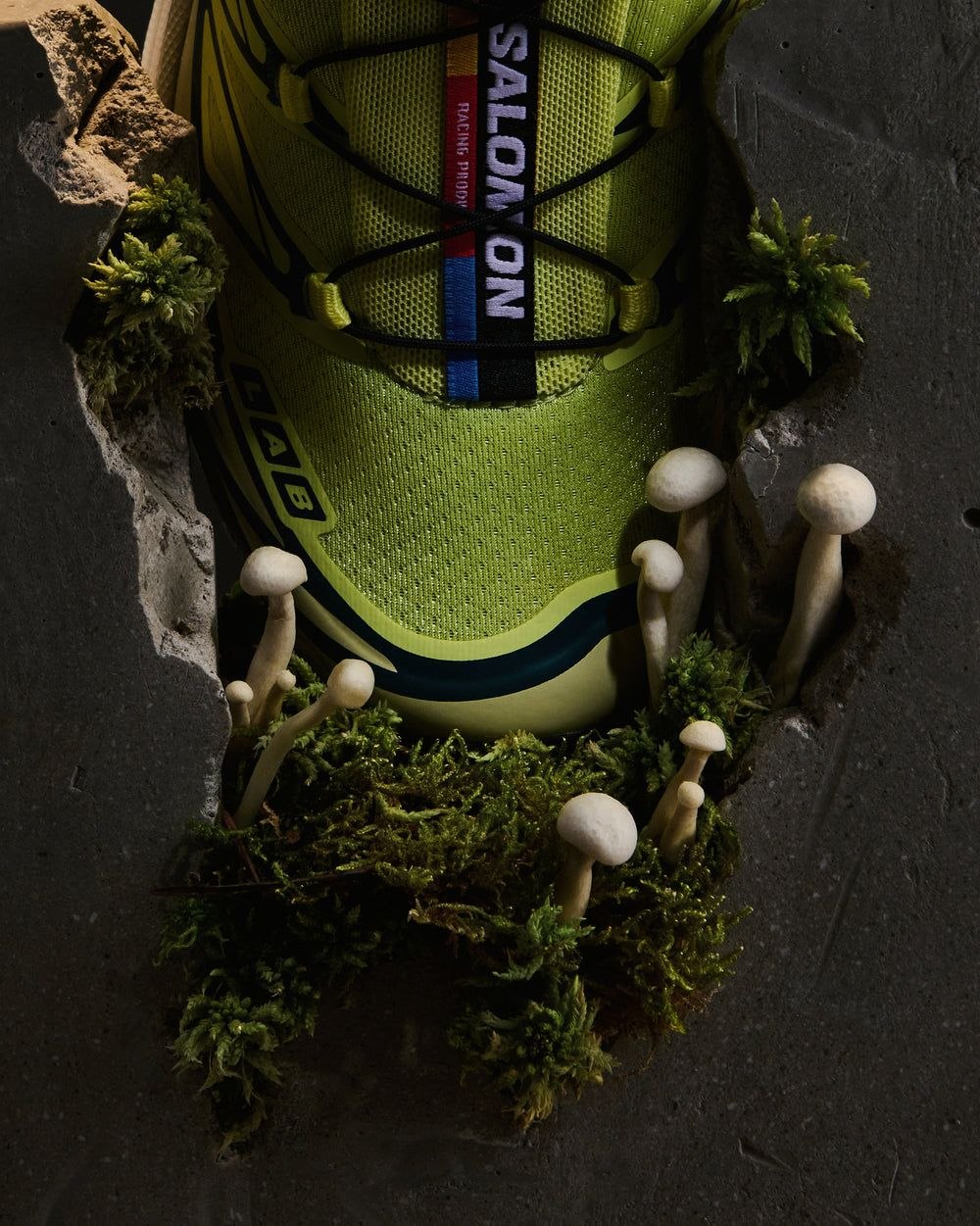Кроссовки Salomon XT-6 'Lime'