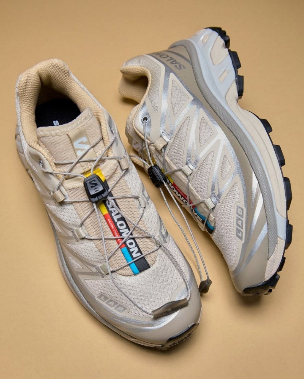 Кроссовки Salomon XT-6 'Rainy Day Paloma'