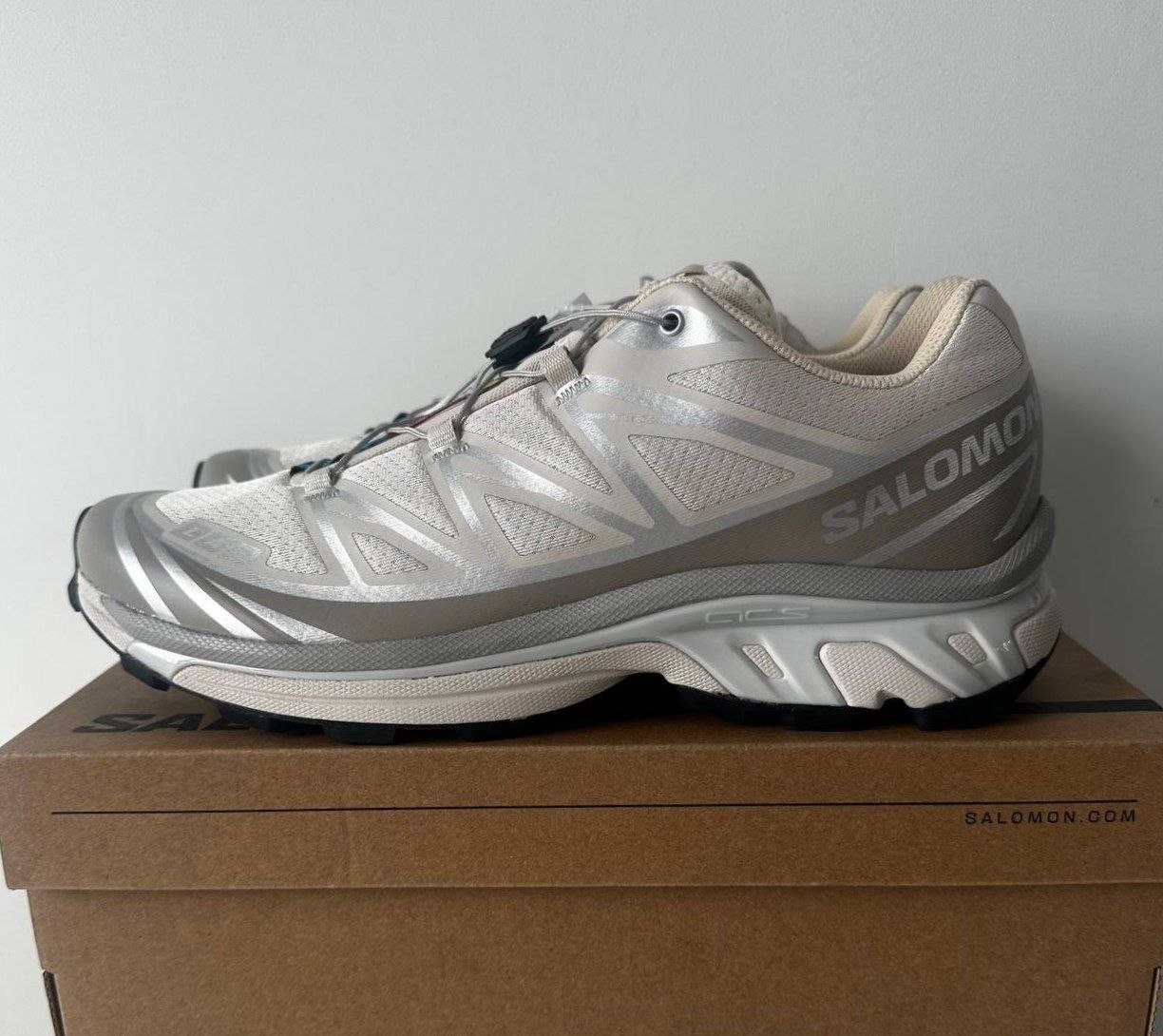 Кроссовки Salomon XT-6 'Rainy Day Paloma'