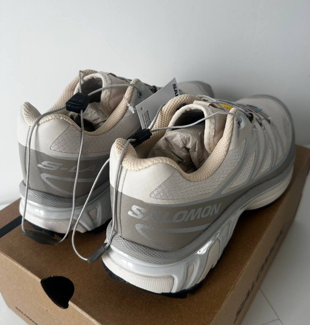 Кроссовки Salomon XT-6 'Rainy Day Paloma'