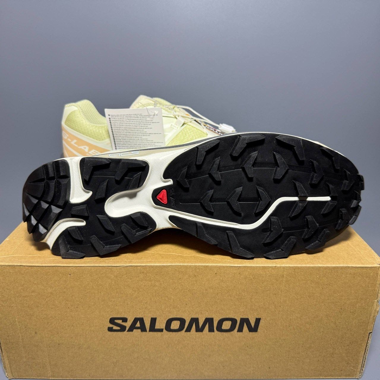 Кроссовки Salomon XT-6 'Aloe Wash'
